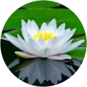 Karen Cheong profile picture
